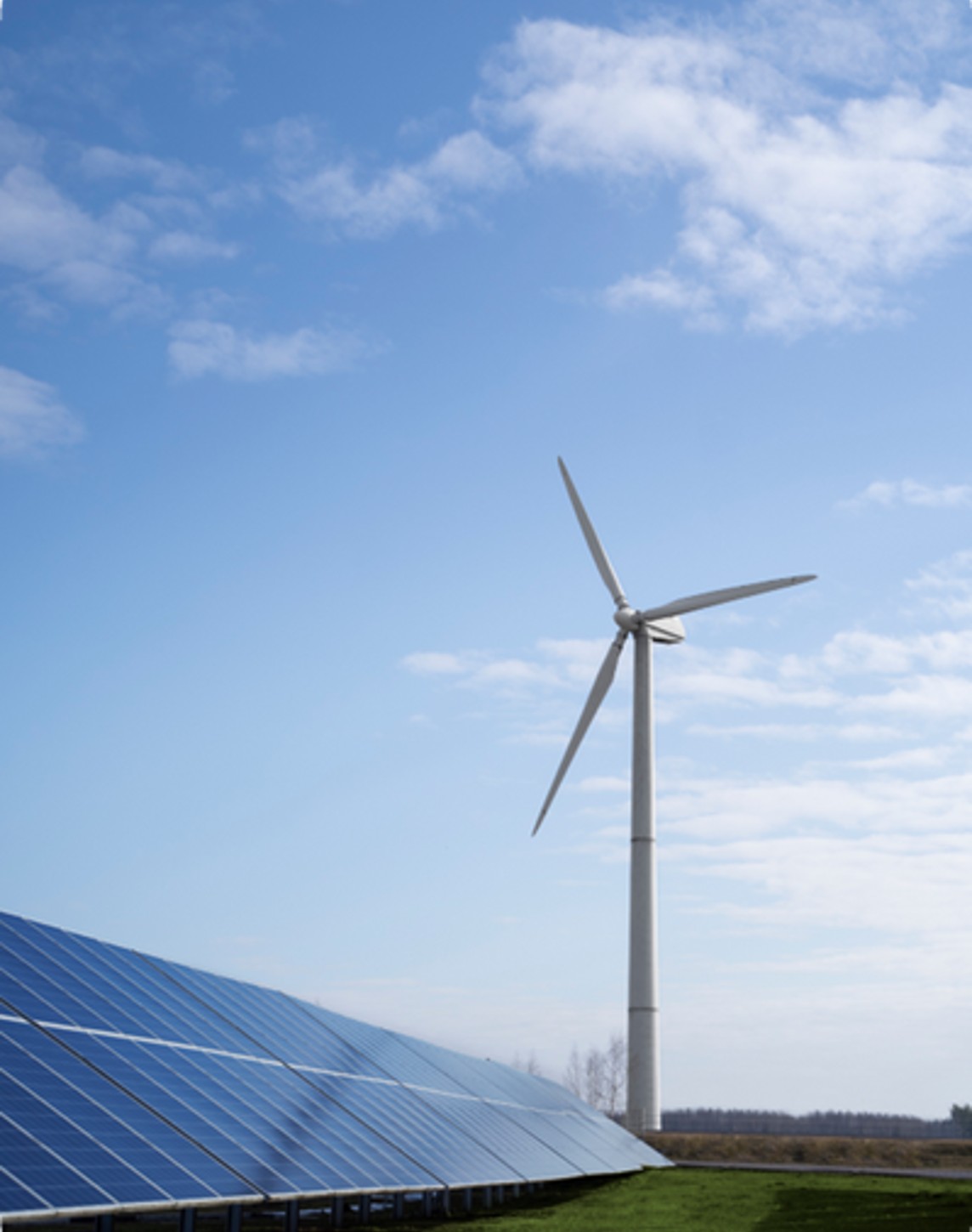 Innovacion sostenibilidad